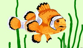 Drawing of Clownfish by Flowerpot