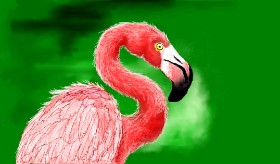 DaVinky の フラミンゴ の絵