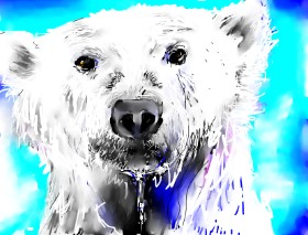 Andrea の ホッキョクグマ の絵