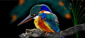 Çhåching の 鳥 の絵