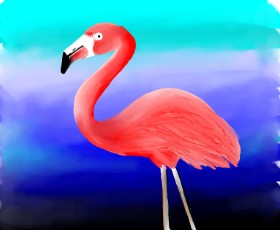 Sony の フラミンゴ の絵