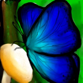 Drawing of Butterfly by 🌌Mom💕E🌌