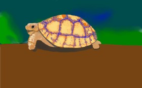 Niny の カメ の絵