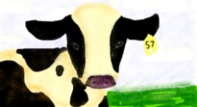 Drawing of Cow by cookie karr