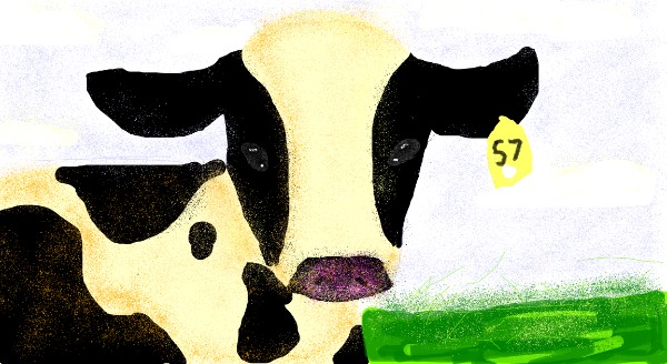 Drawing of Cow by cookie karr
