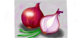 Drawing of Onion by DebbyLee