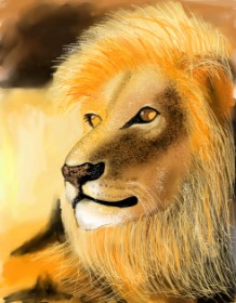 Drawing of Lion by Walter nonwhite