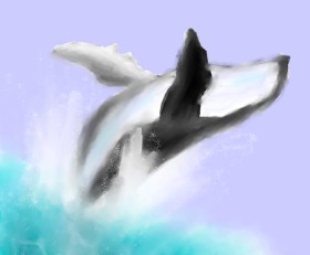 Drawing of Whale by Intern