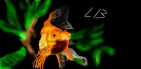 Drawing of Goldfish by Effulgent Emerald
