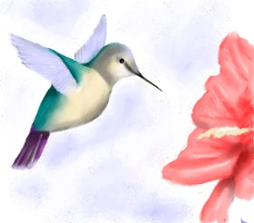 Drawing of Hummingbird by JSim