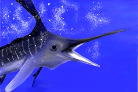 Betula の メカジキ の絵
