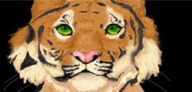 Kokichisalmonellen の トラ の絵