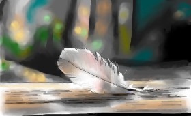 Herbert の 羽毛 の絵