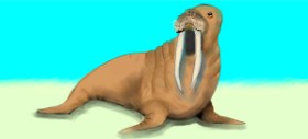 Рисунок на тему «Морж» — автор: Debidolittle