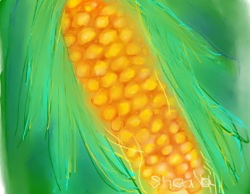Kai 🐾 の トウモロコシ の絵
