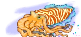 Debidolittle の イカ の絵