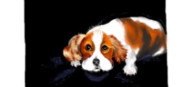Drawing of Dog by DebbyLee