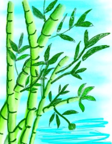 SP の 竹 の絵