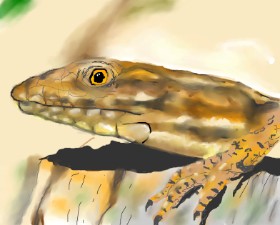 . の トカゲ の絵