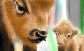 Рисунок на тему «Зубр» — автор: Herbert
