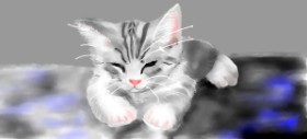 Drawing of Cat by Kim