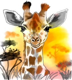Drawing of Giraffe by Loz