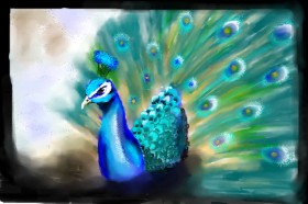 Drawing of Peacock by 🌏rhythm💐
