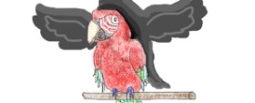 coconut の オウム の絵