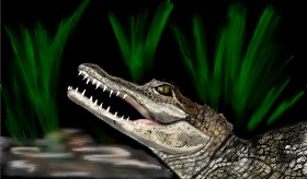 Çhåching の アリゲーター の絵