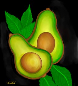 Drawing of Avocado by GreyhoundMama