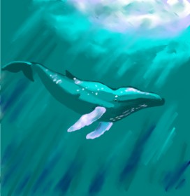 TedsNan の クジラ の絵