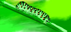 Drawing of Caterpillar by Shey_A