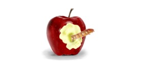 Çhåching の 虫 の絵