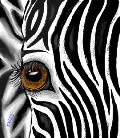 Zebra-Zeichnung von GreyhoundMama