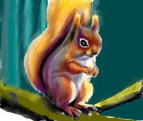 Рисунок на тему «Белка» — автор: Yasi