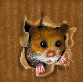 Drawing of Hamster by Leah