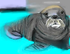 Рисунок на тему «Морж» — автор: Yashi 🐢
