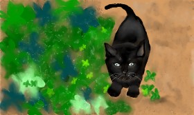 Рисунок на тему «Котенок» — автор: Tim