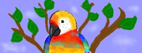 Drawing of Parrot by Caitlyn