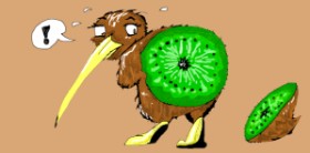 Drawing of Kiwi fruit by jule