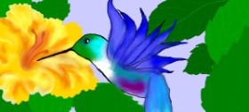Debidolittle の ハチドリ の絵