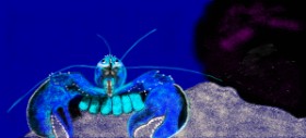 Drawing of Lobster by Çhåching