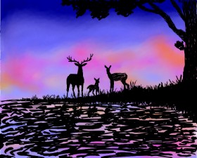 Drawing of Deer by Sofie