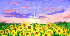 Suncokret - autor: Paranoia