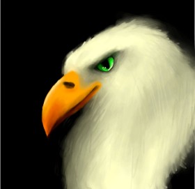 MEOW の 鳥 の絵