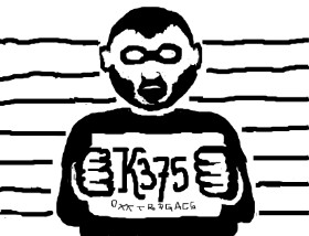 Paranoia の 泥棒 の絵