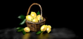 Drawing of Lemon by Çhåching