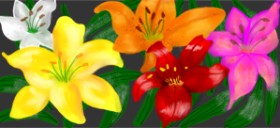 justme❤️ の ユリの花 の絵