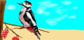 Shanthini の キツツキ の絵