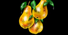 Drawing of Pear by Eclat de Lune